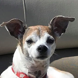 Meet your Posher, Kay